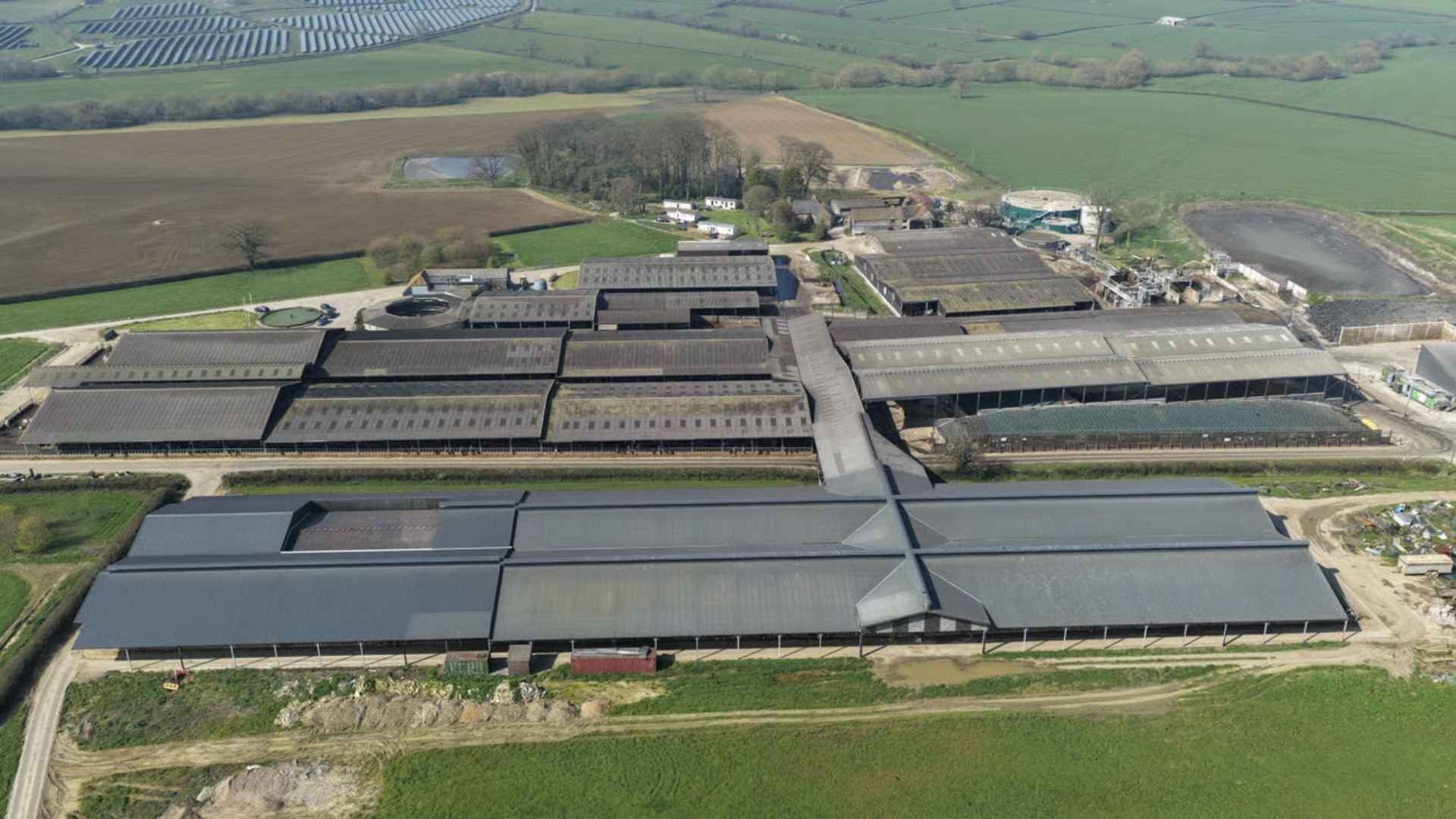 A collection of large sheds house hundreds of cows each