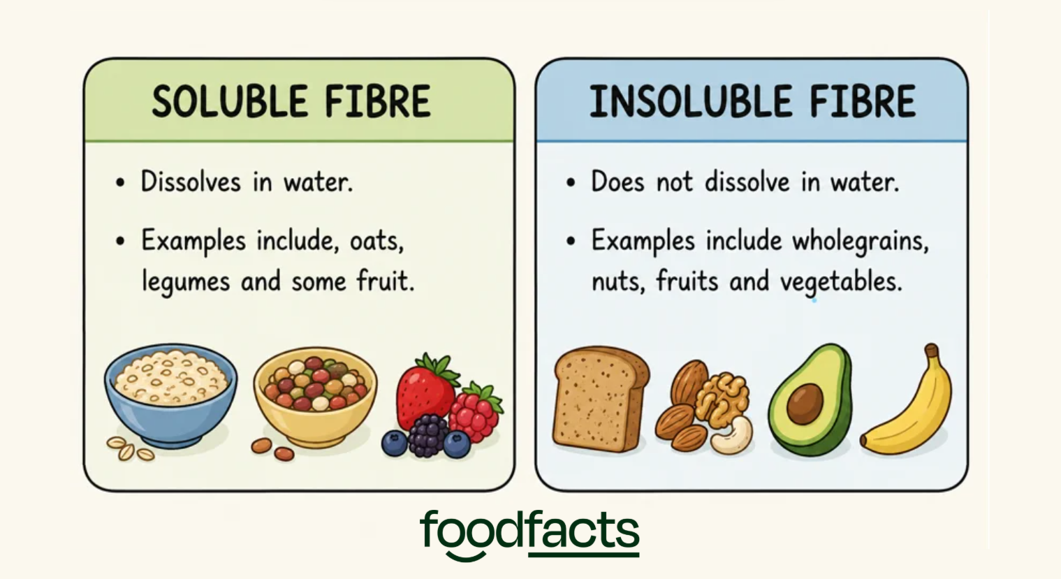 A graphic showing the difference between soluble and insoluble fibre