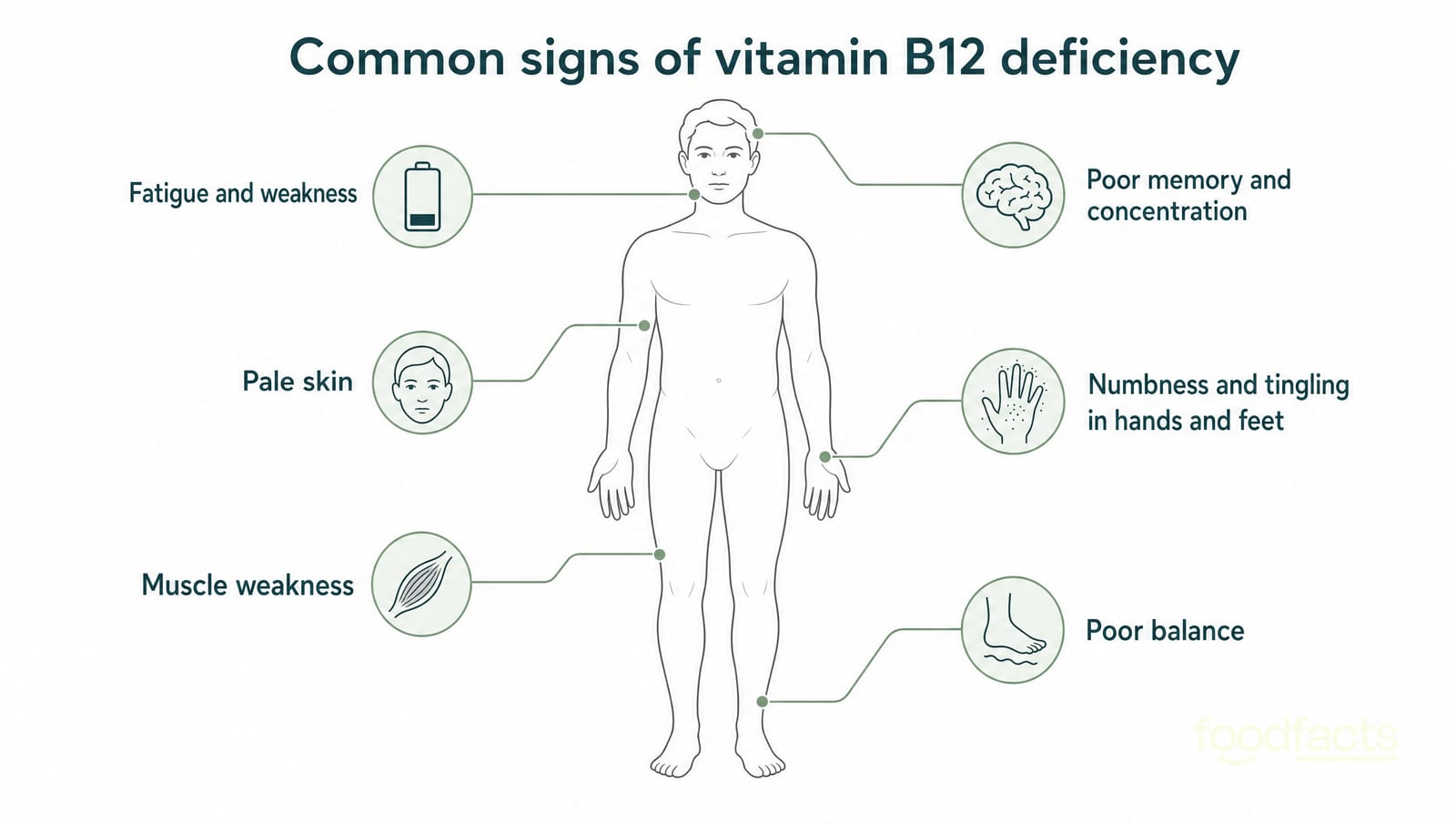 A diagram of a human figure with callouts showing common signs of vitamin B12 deficiency: fatigue and weakness, pale skin, poor memory and concentration, numbness and tingling in hands and feet, muscle weakness and poor balance