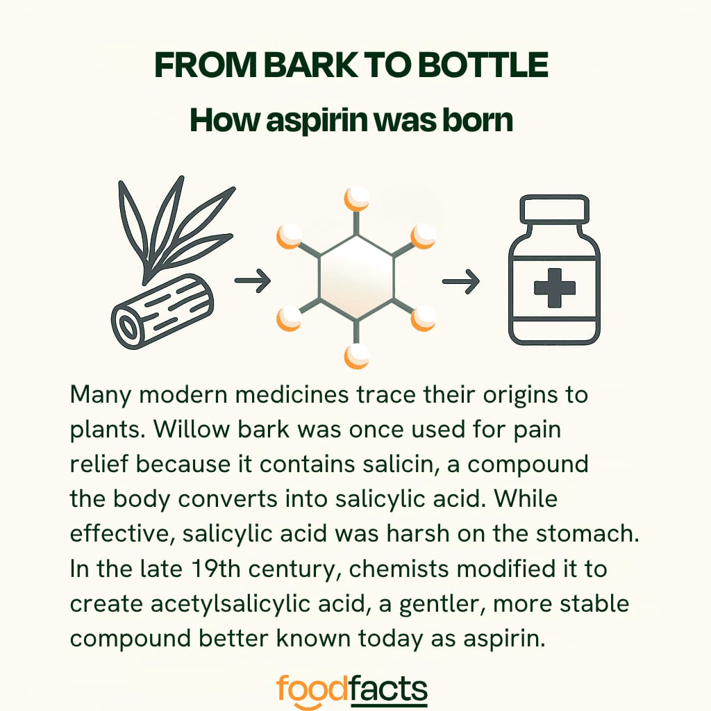 A simple infographic showing how aspiring was born from willow bark
