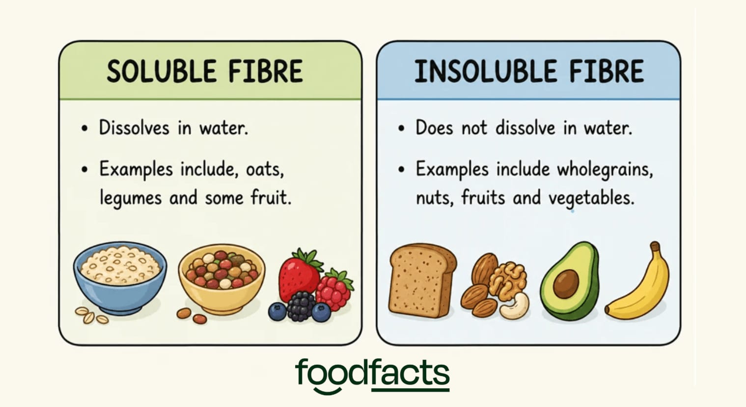 A graphic showing the difference between soluble and insoluble fibre