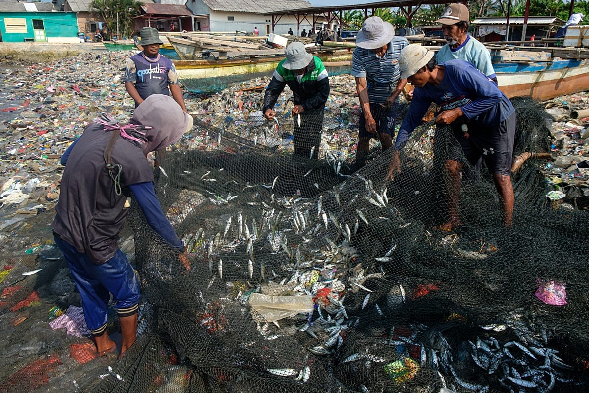 Captured fish are collected from garbage-filled nets by local fishermen. The fishermen complain that a river carries the garbage to the beach, decreasing their catch and polluting the coastal environment. Sukaraja Beach, Bandar Lampung, Lampung, Indonesia, 2024.