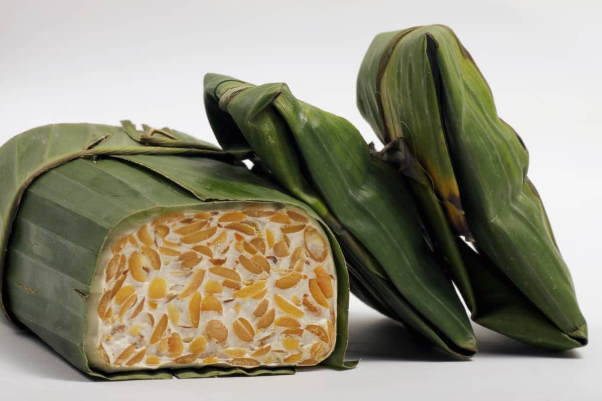 Tempeh is being fermented by being wrapped up in banana leaves. There are three packets of tempeh in this photo