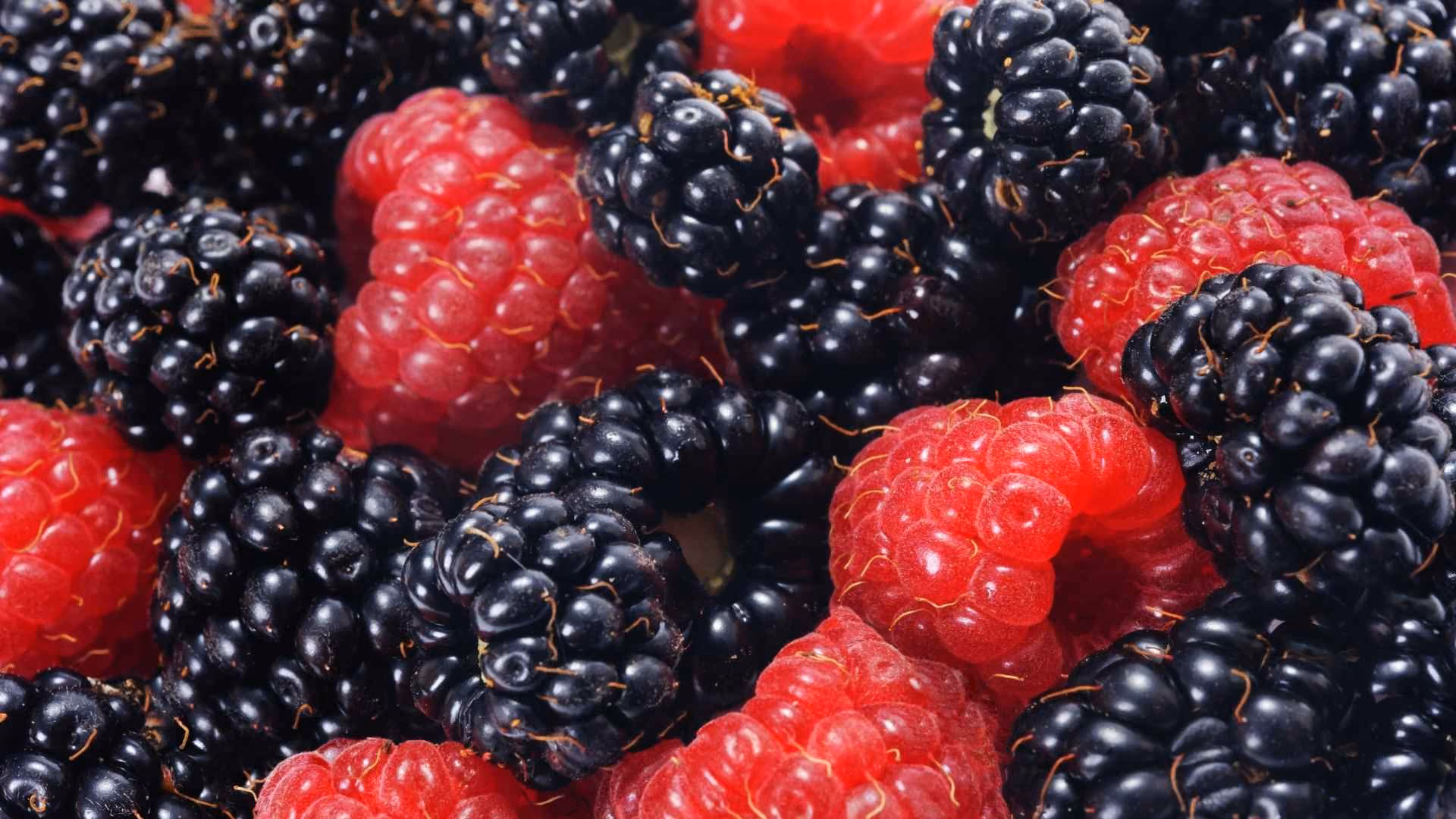 Berries