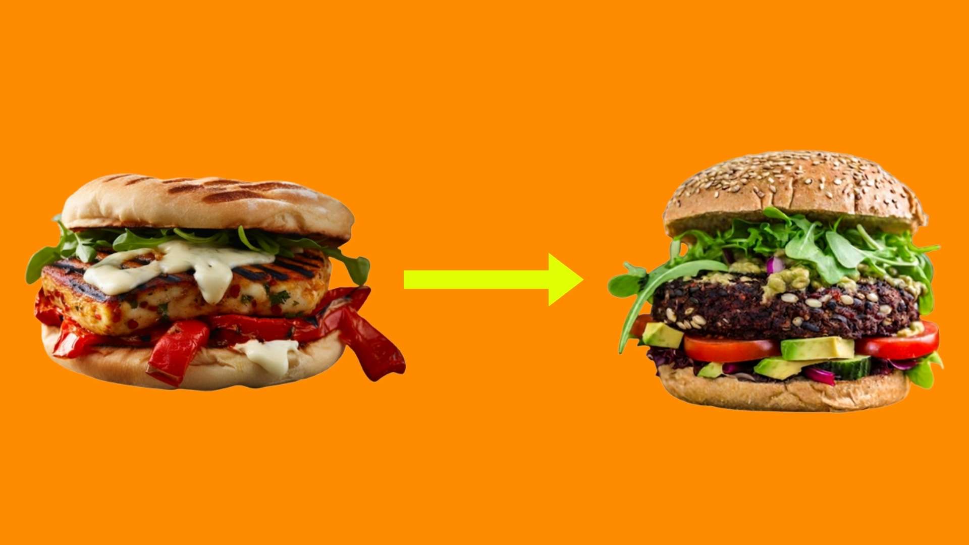 A natural plant-based burger next to an animal-based burger
