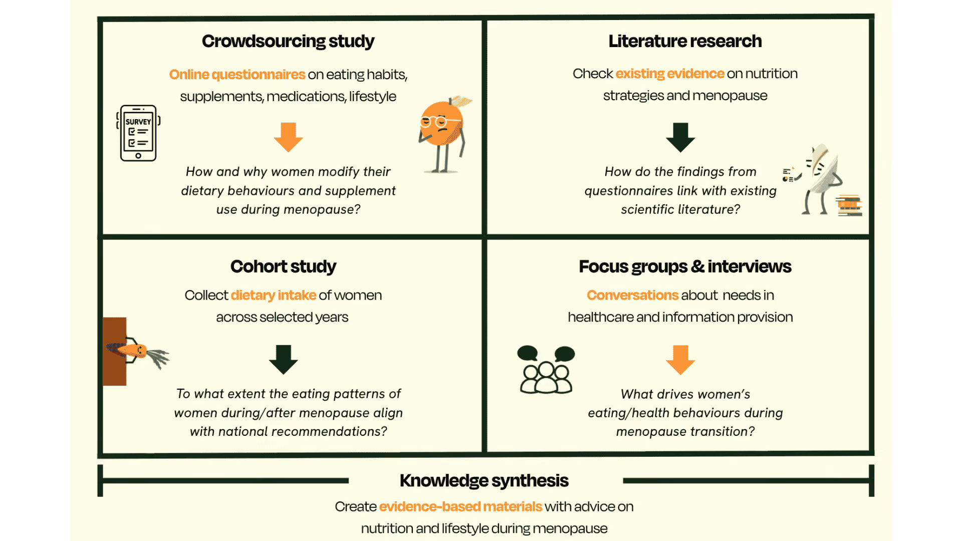 An overview of how the menofood study was set up