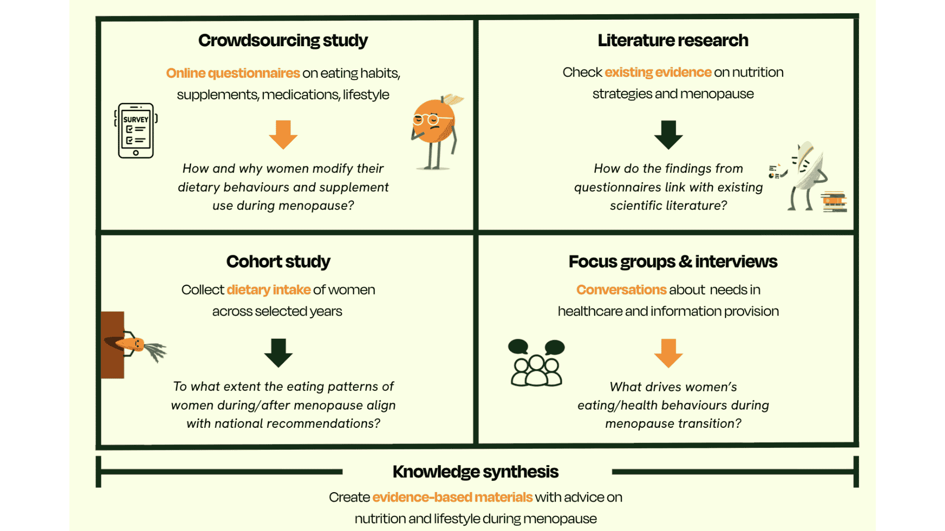 An overview of how the menofood study was set up