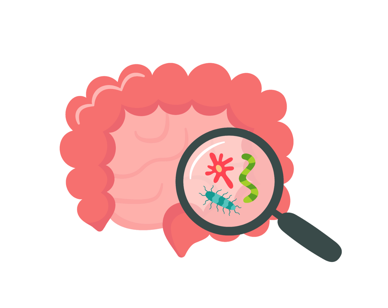 the gut microbiome