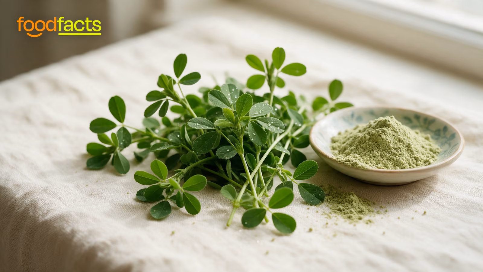 A lush bunch of fresh green alfalfa (lucerne) beside a small dish of pale green leaf-protein powder on cream linen.