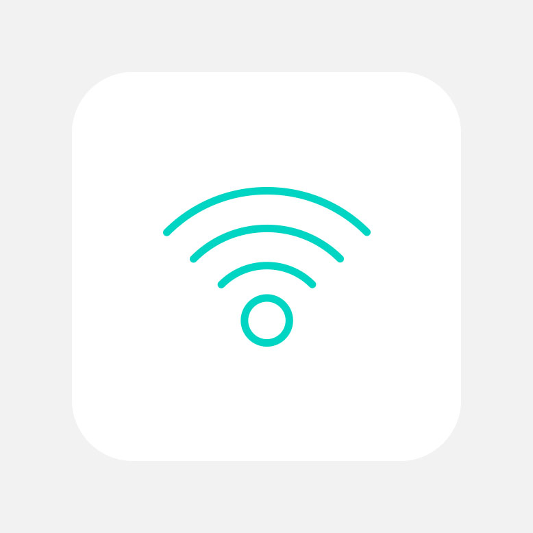 Professional IT Support services