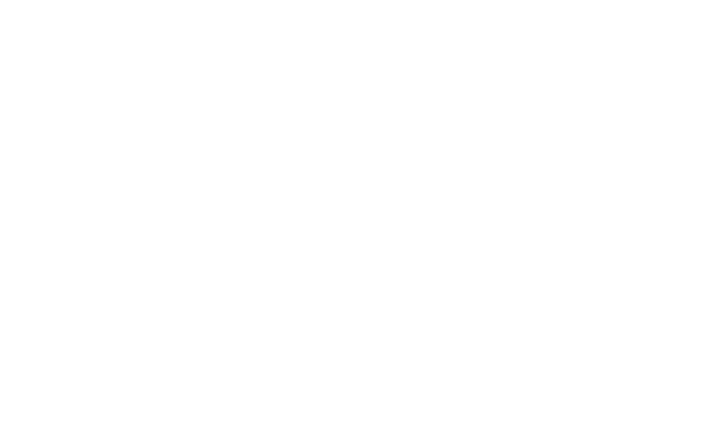 FFACB logo