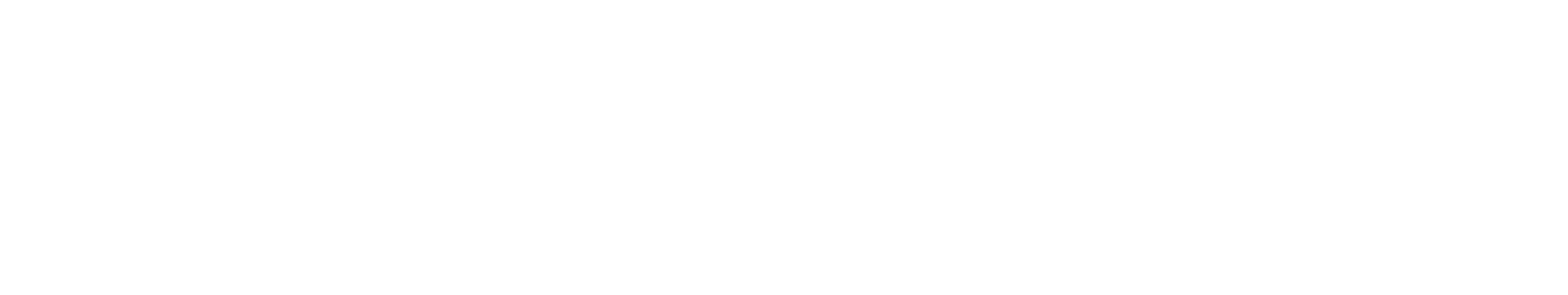 Logo ACE Energie