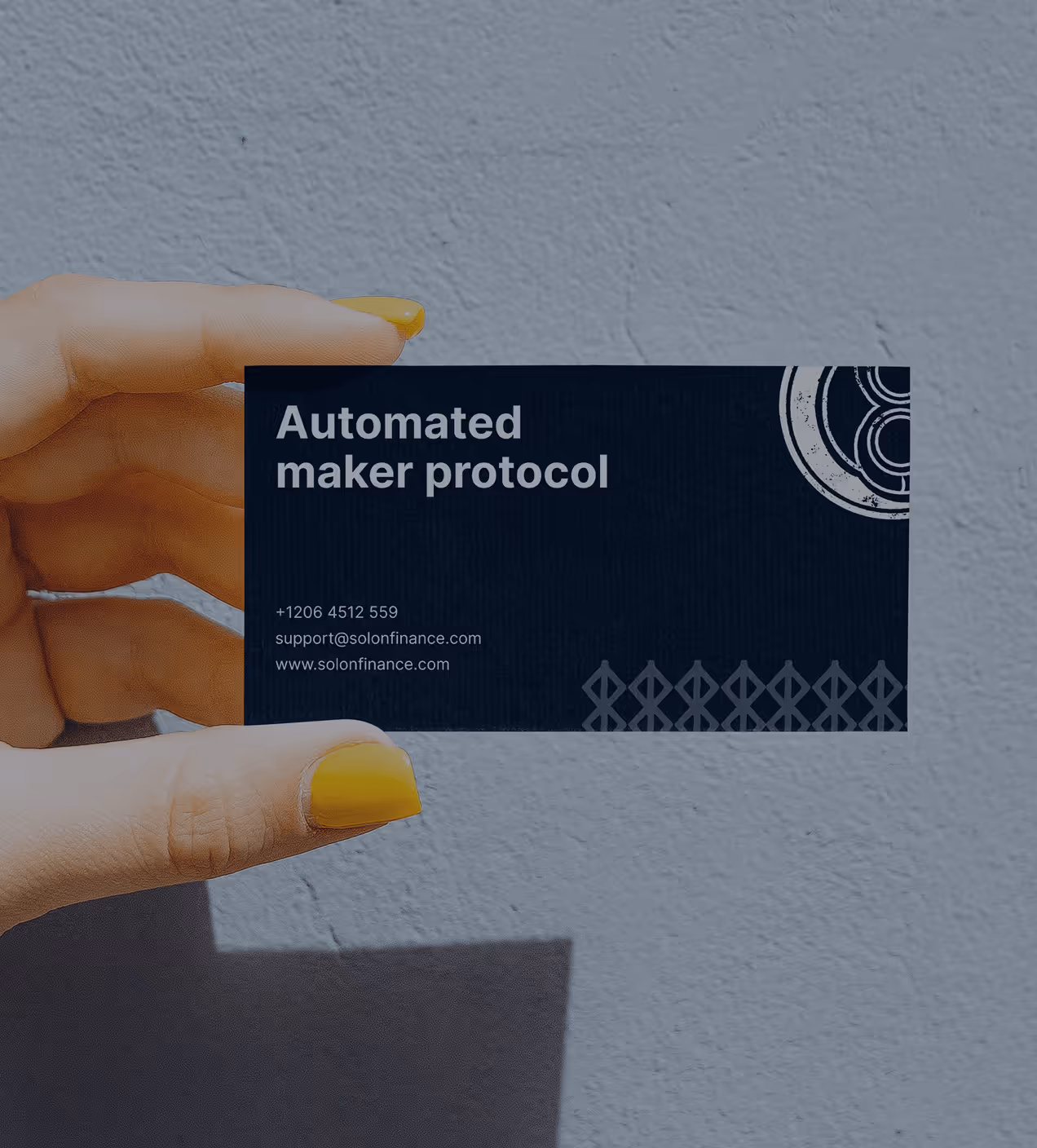 solon brand style card