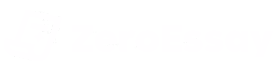 Zero Essay