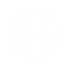 Globe icon