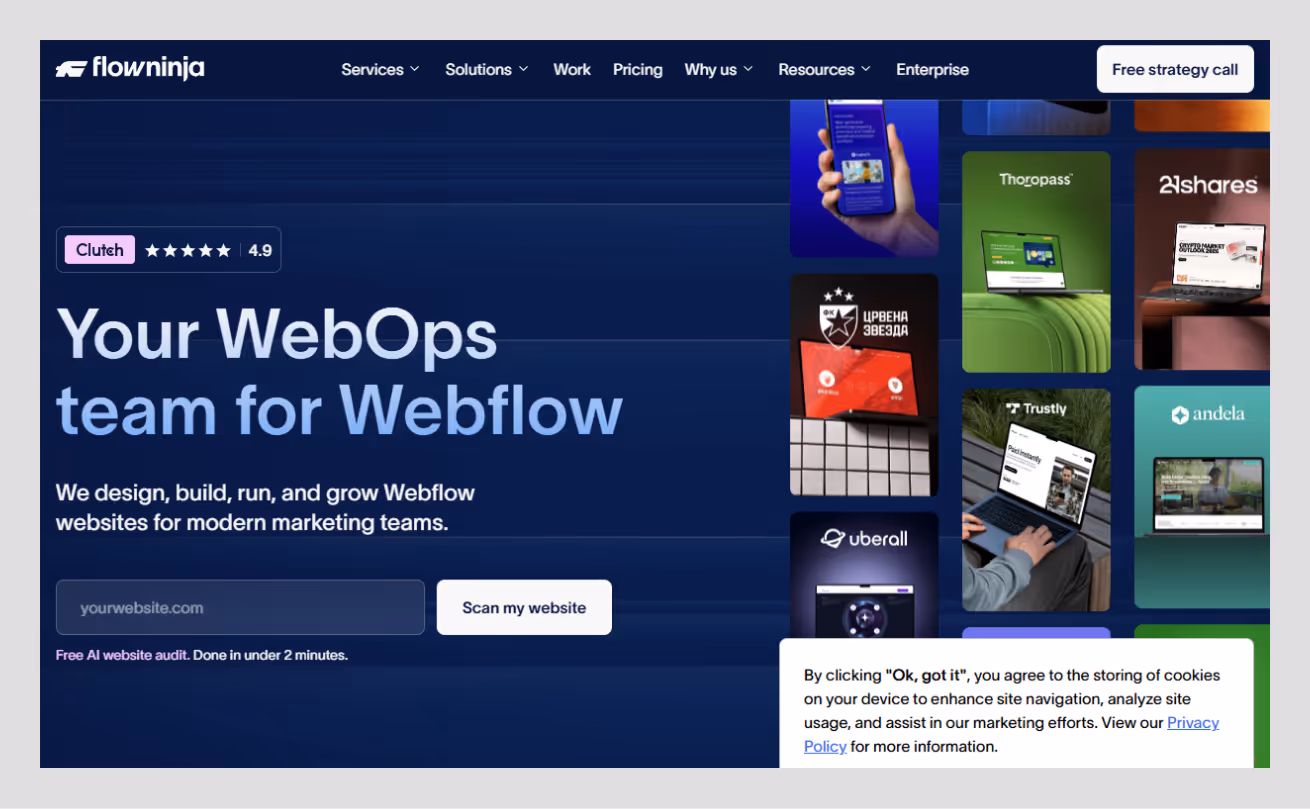 flow ninja banner by wavespace