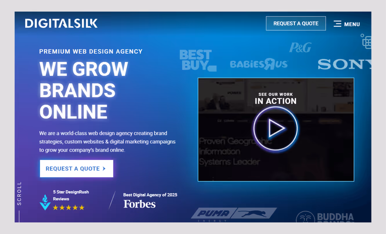 digital silk