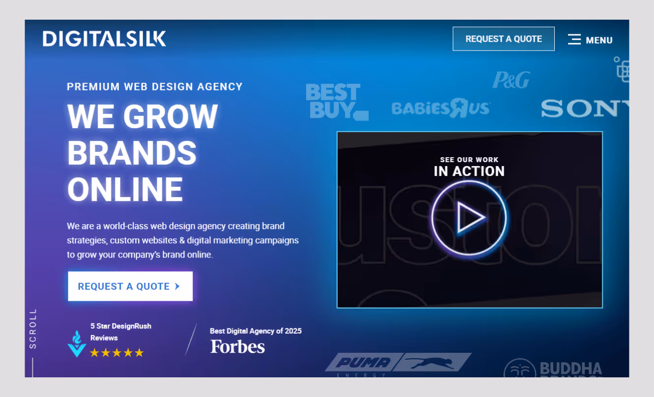 digital silk wbe design agency
