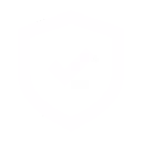 Design system & components
