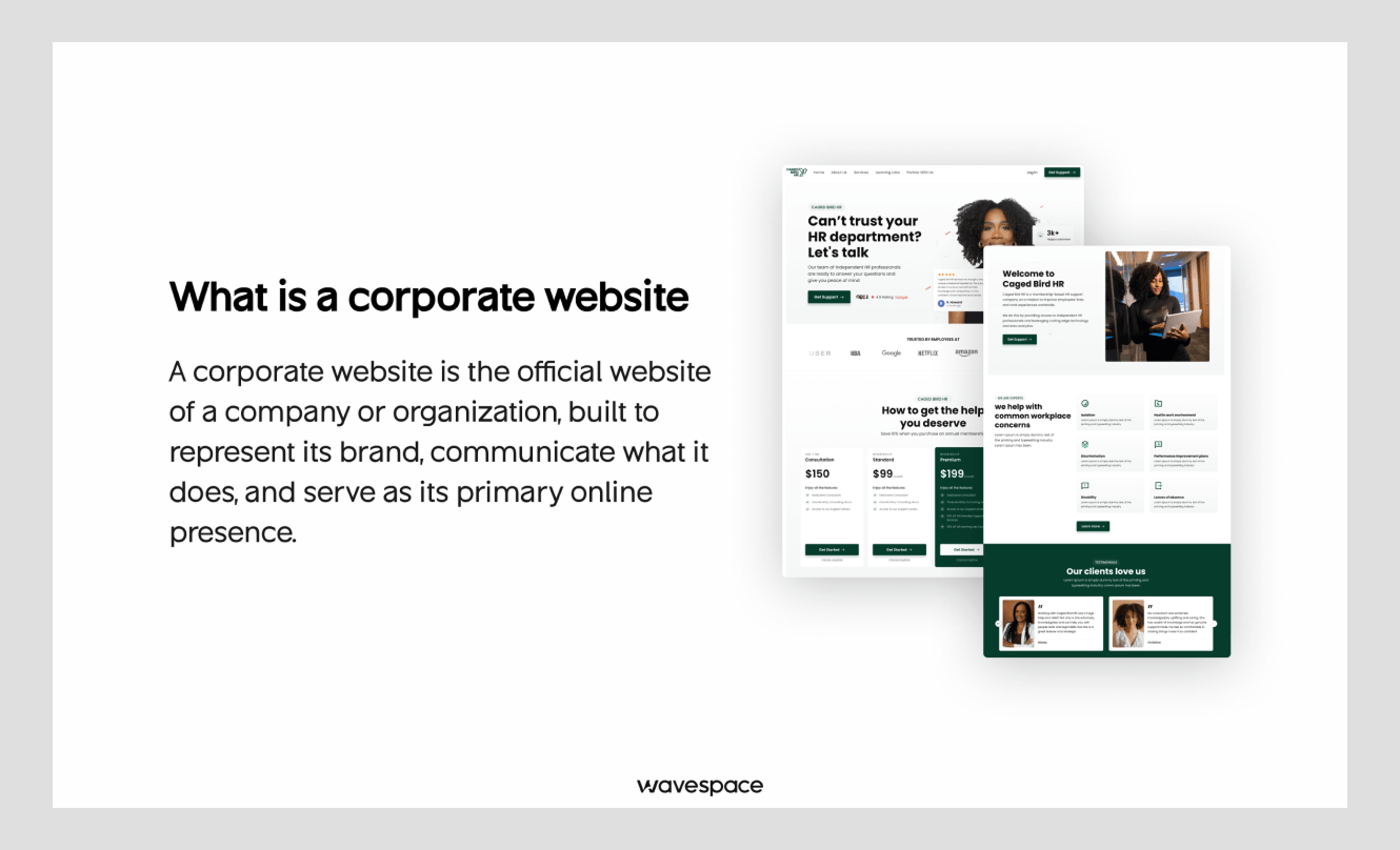 what is corporate website