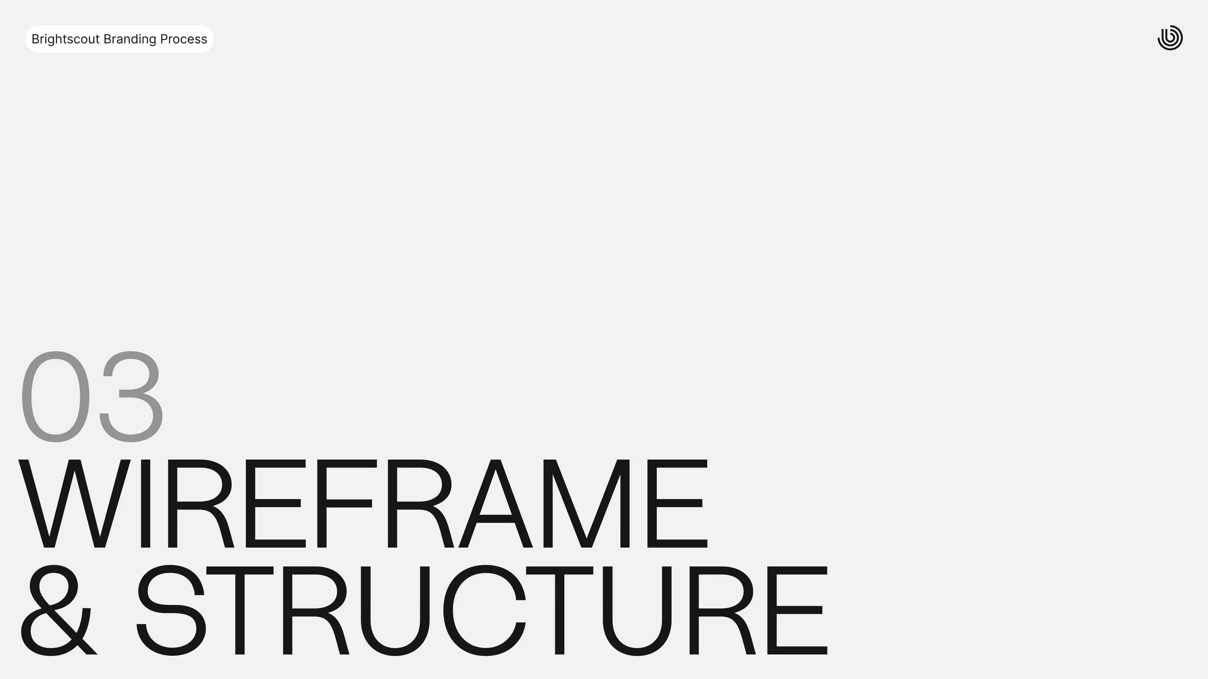 wireframe and structure