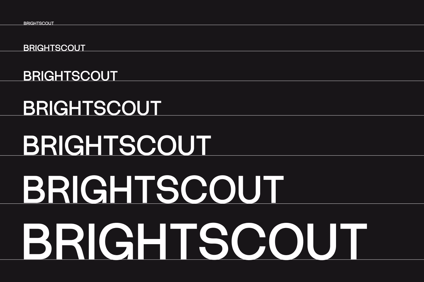 Brightscout Logo