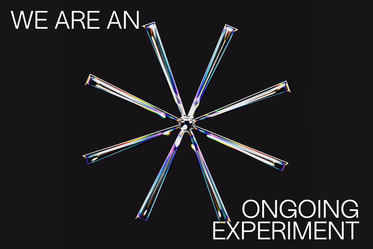 We are an ongoing experiment