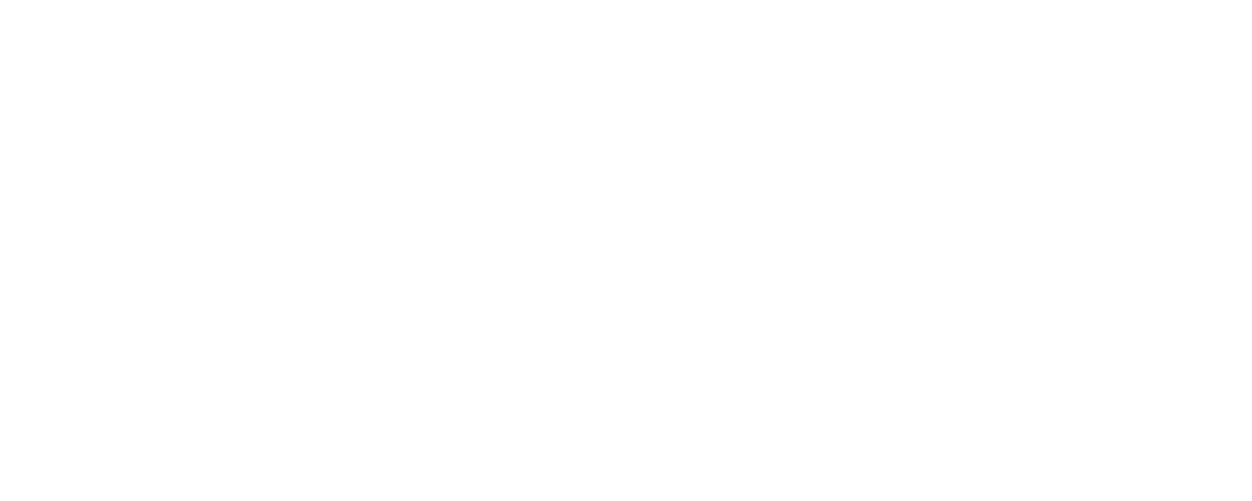 Blaser Group Logo - Kunde von Riffbird