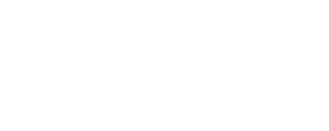 agn Niederberghaus & Partner GmbH Logo - Kunde von Riffbird