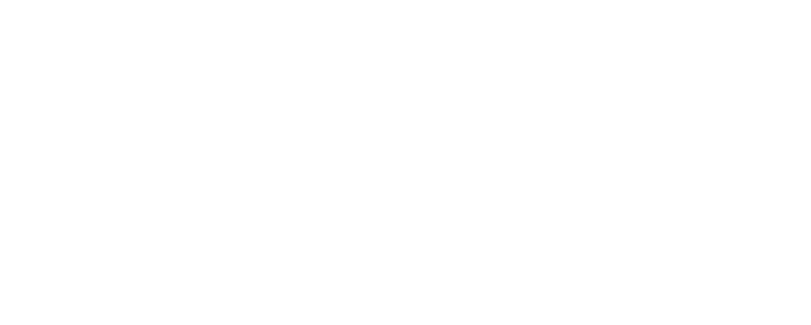 DGS Logo -  Kunde von Riffbird