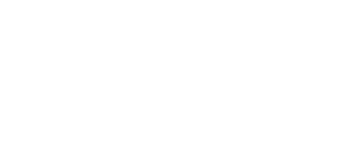 WILO Logo - Kunde von Riffbird