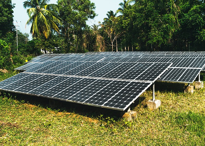 Ground-mounted solar panels on concrete footings in grass, with palm trees behind