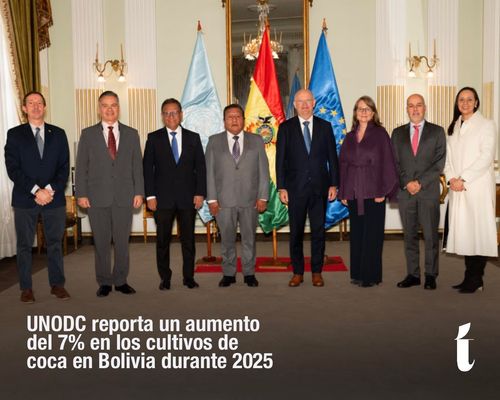 UNODC reporta un aumento del 7%