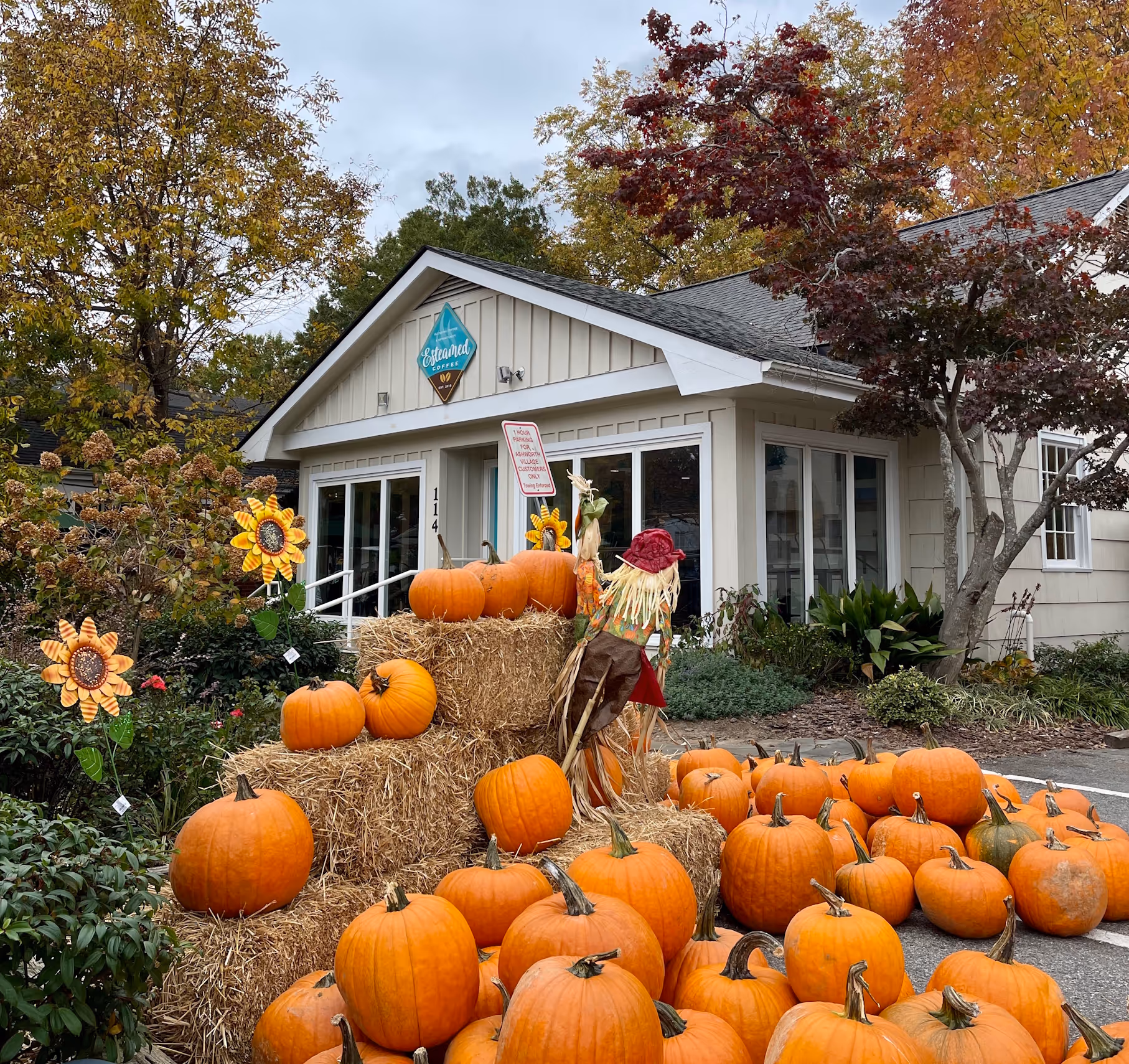 Esteamed Coffee Shop in Autumn with pumpkins