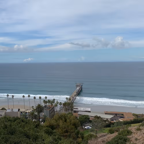 Long pier extending into calm ocean waters with palm trees and beach in the foreground under a partly cloudy sky.
