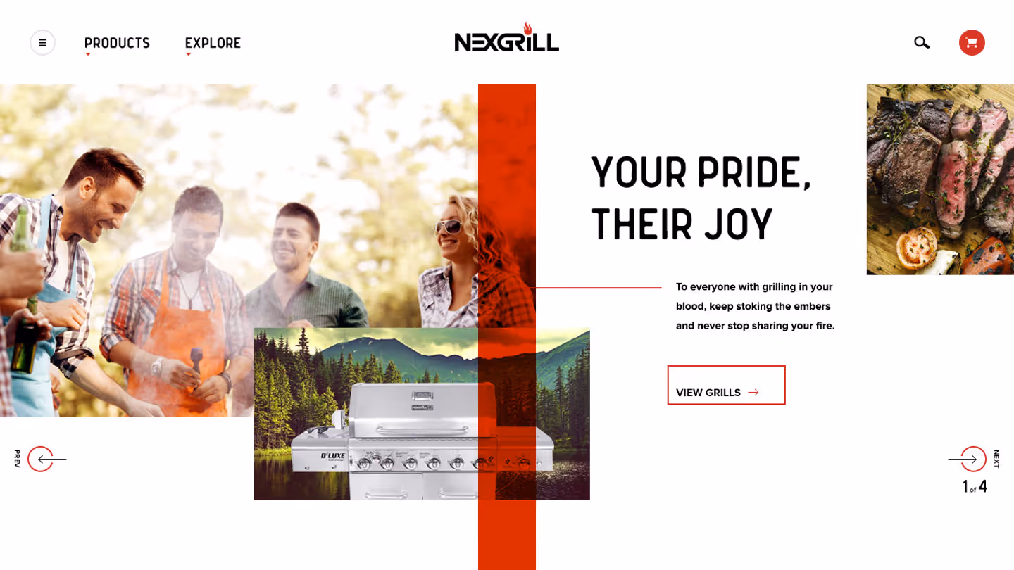 Group of four people smiling outdoors at a barbecue, with a stainless steel grill superimposed over a forest and mountain background, and a close-up of grilled steak on the side; text reads 'Your Pride, Their Joy' with a button to view grills.