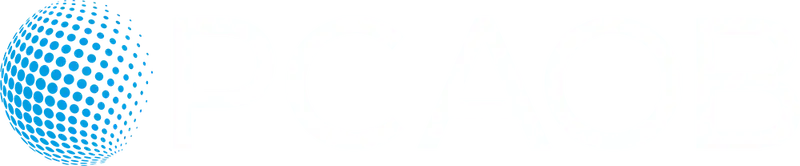 PCAOB - Auditoria de companhia de capital aberto