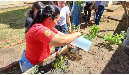Trazendo alívio e esperança: A construção de uma horta terapêutica em Casa de Apoio Oncológico