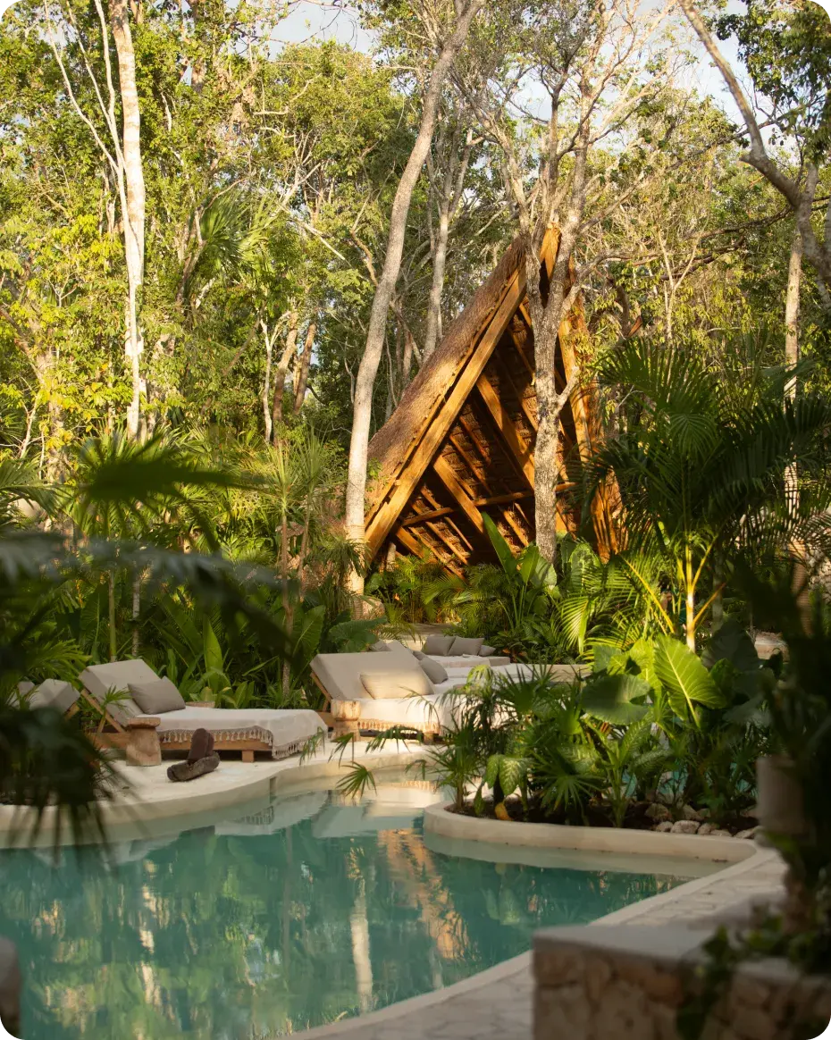 vista-palapa-alberca-plantas-palmeras