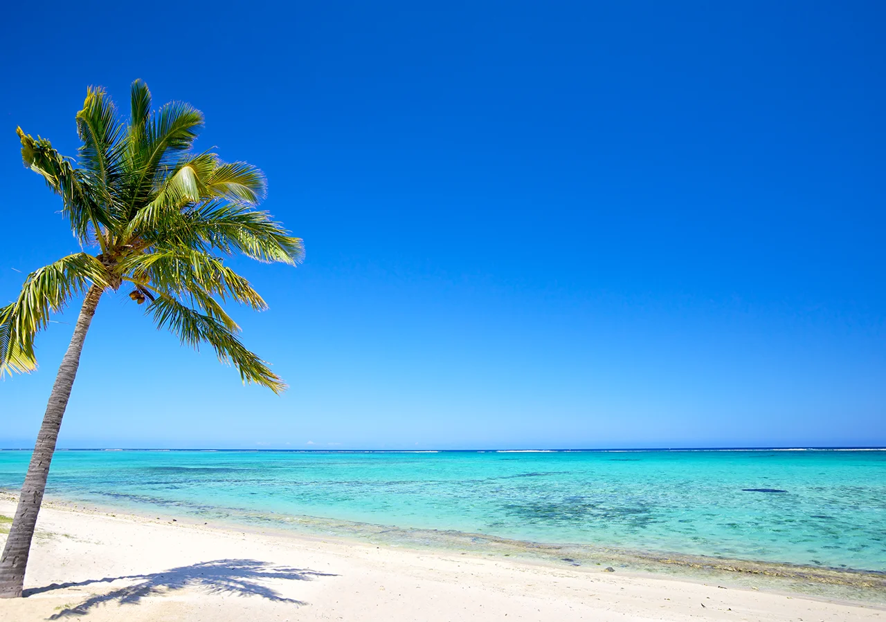 foto-de-playa-paraiso-con-palmera-de-dia
