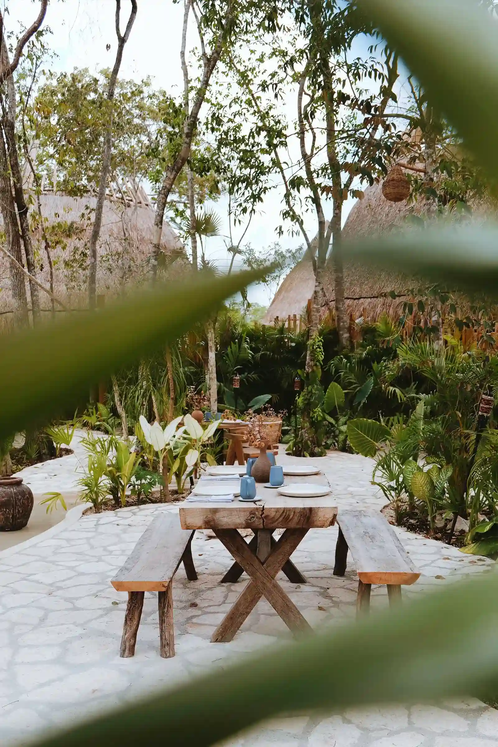 mesa-madera-vajilla-plantas-tropicales-arboles-palmeras