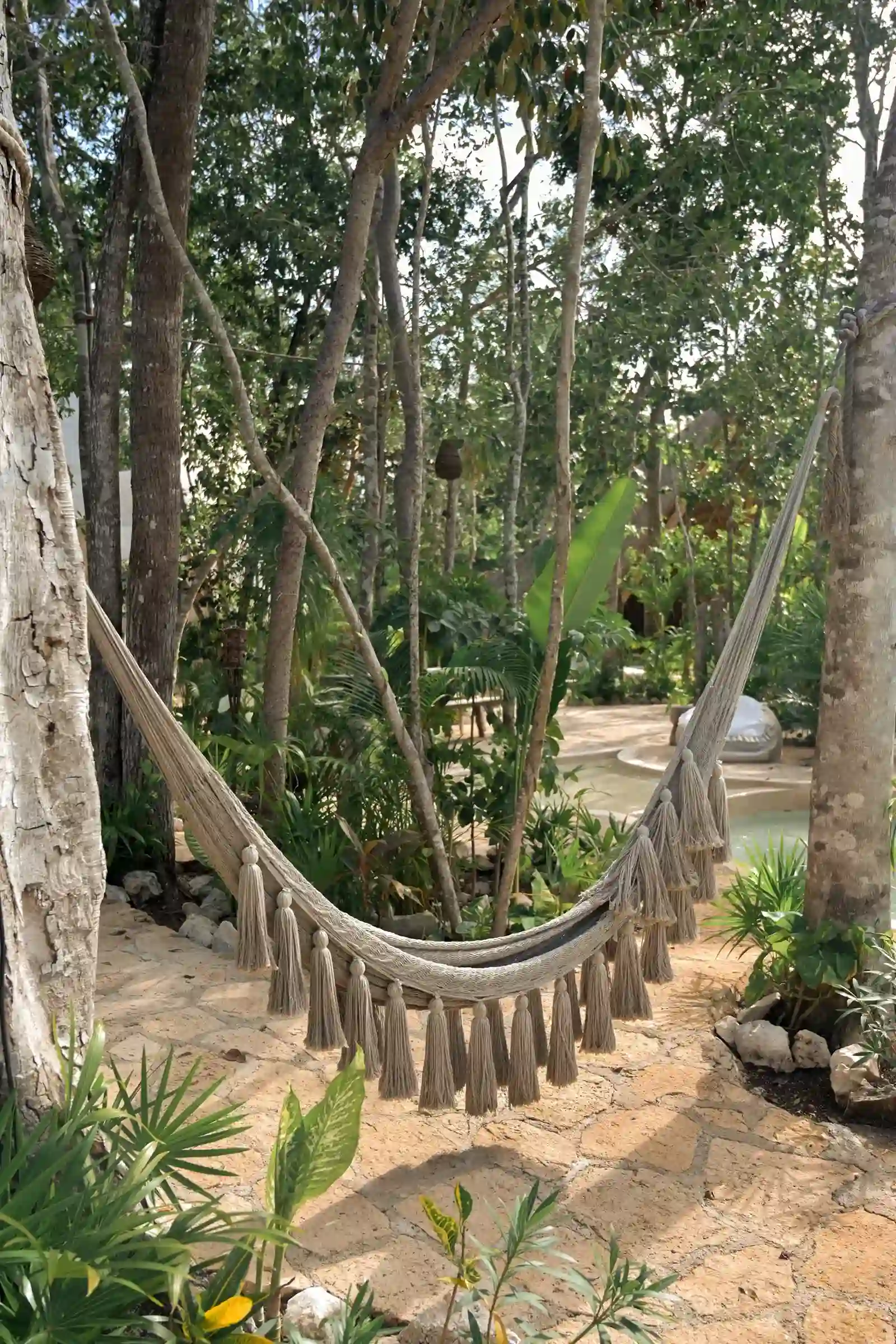 hamaca-tela-arboles-plantas-tropicales