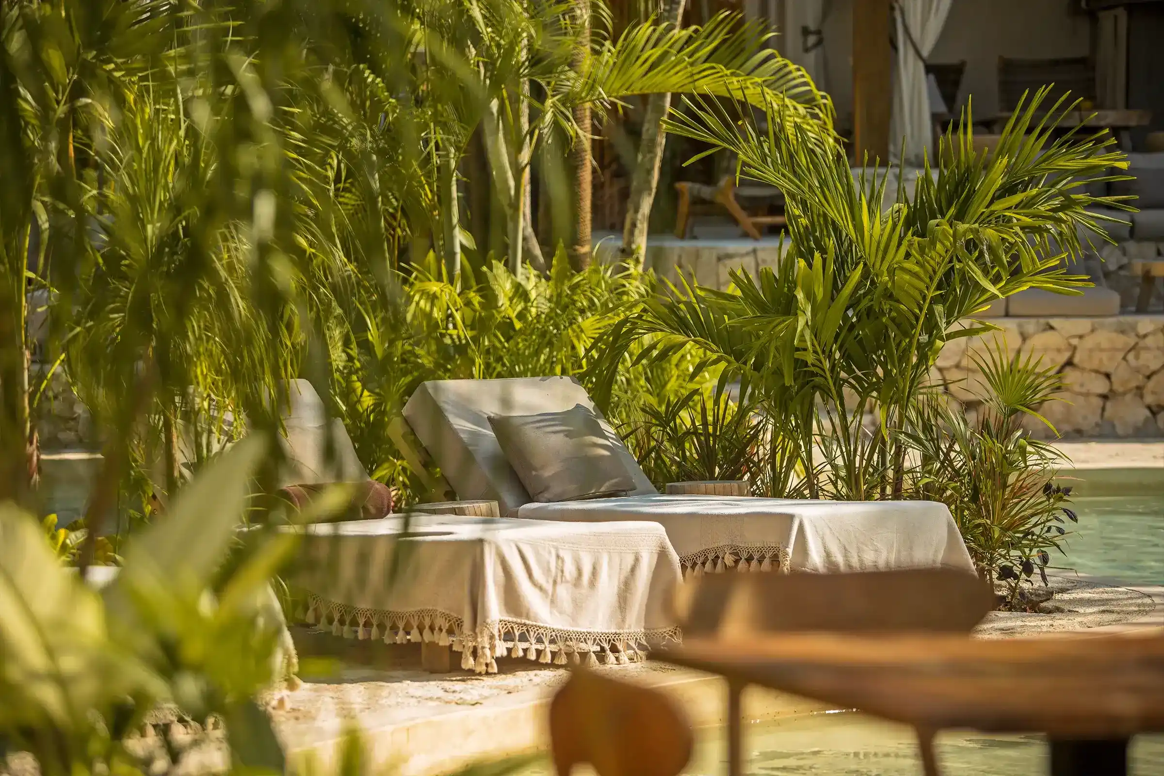 camatros-con-cojines-alberca-plantas-tropicales