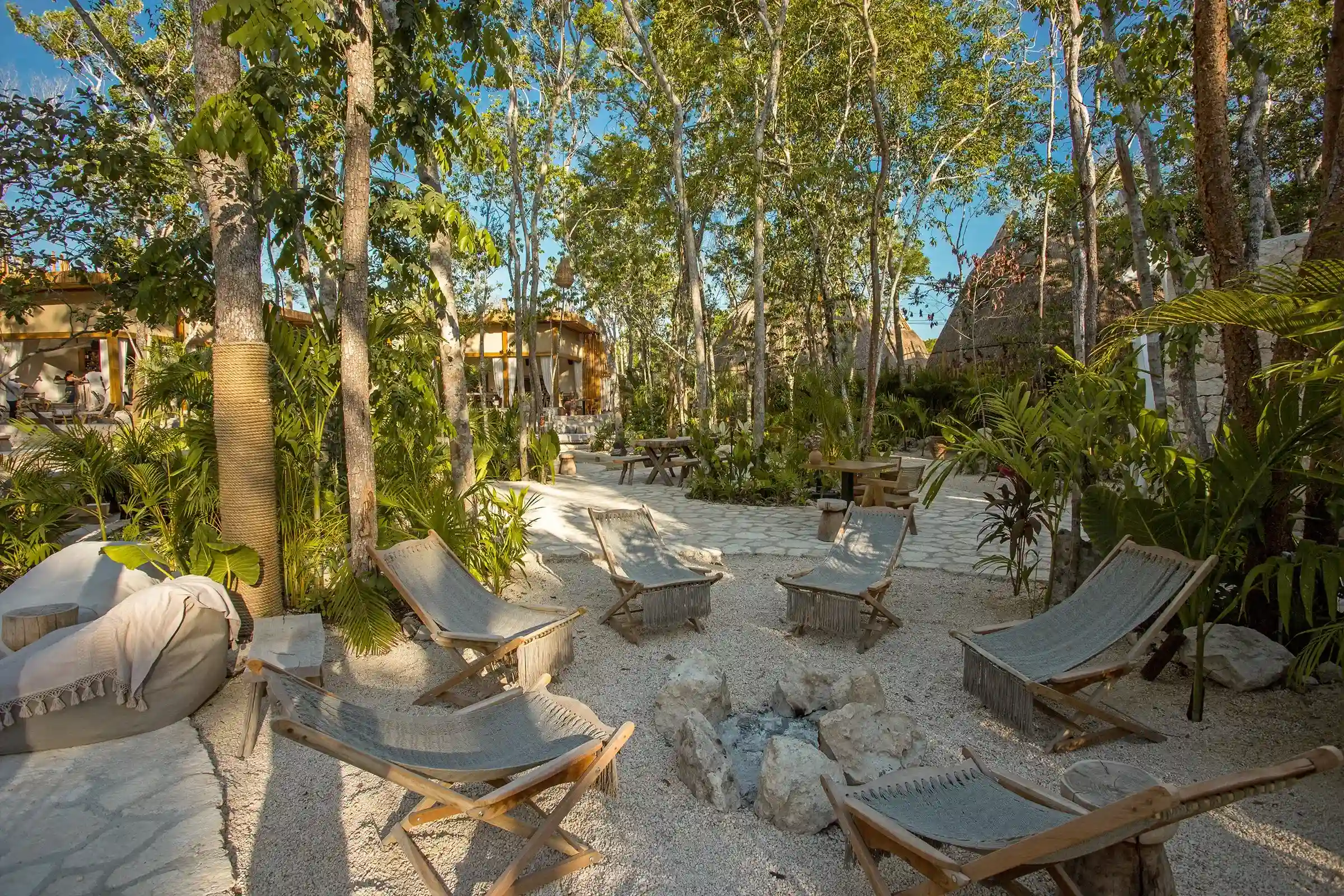 fogata-area-arena-camastros-piedras-plantas