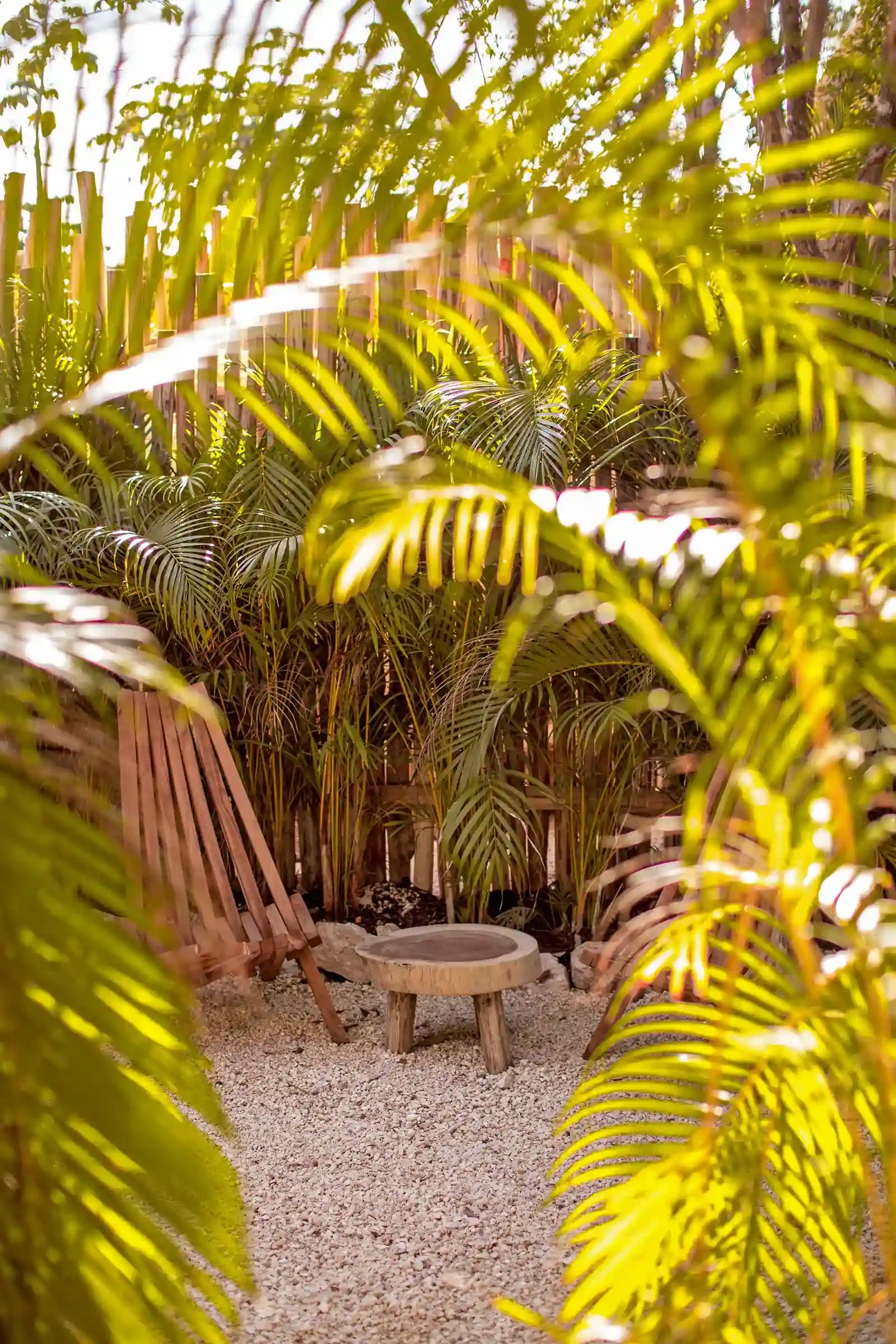 terraza-plantas-tropicales-mesa-centro-de-madera