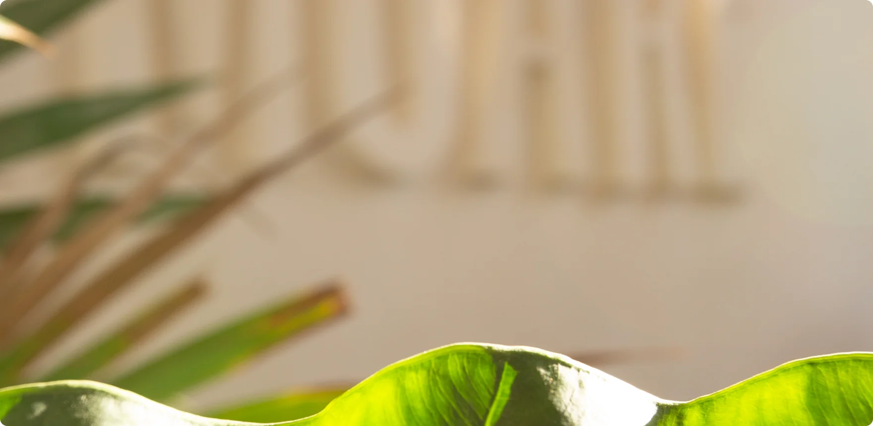 foto-de-palma-vede-en-hotel-muare