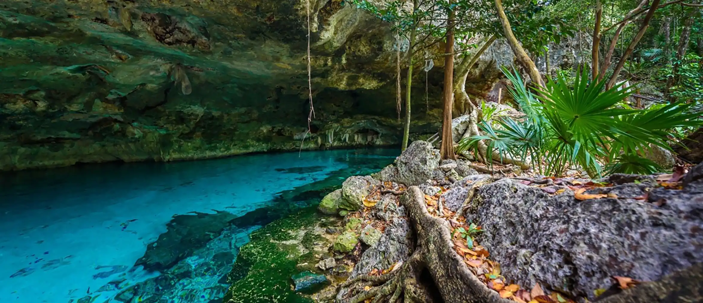 cenote-dos-ojos-tulum