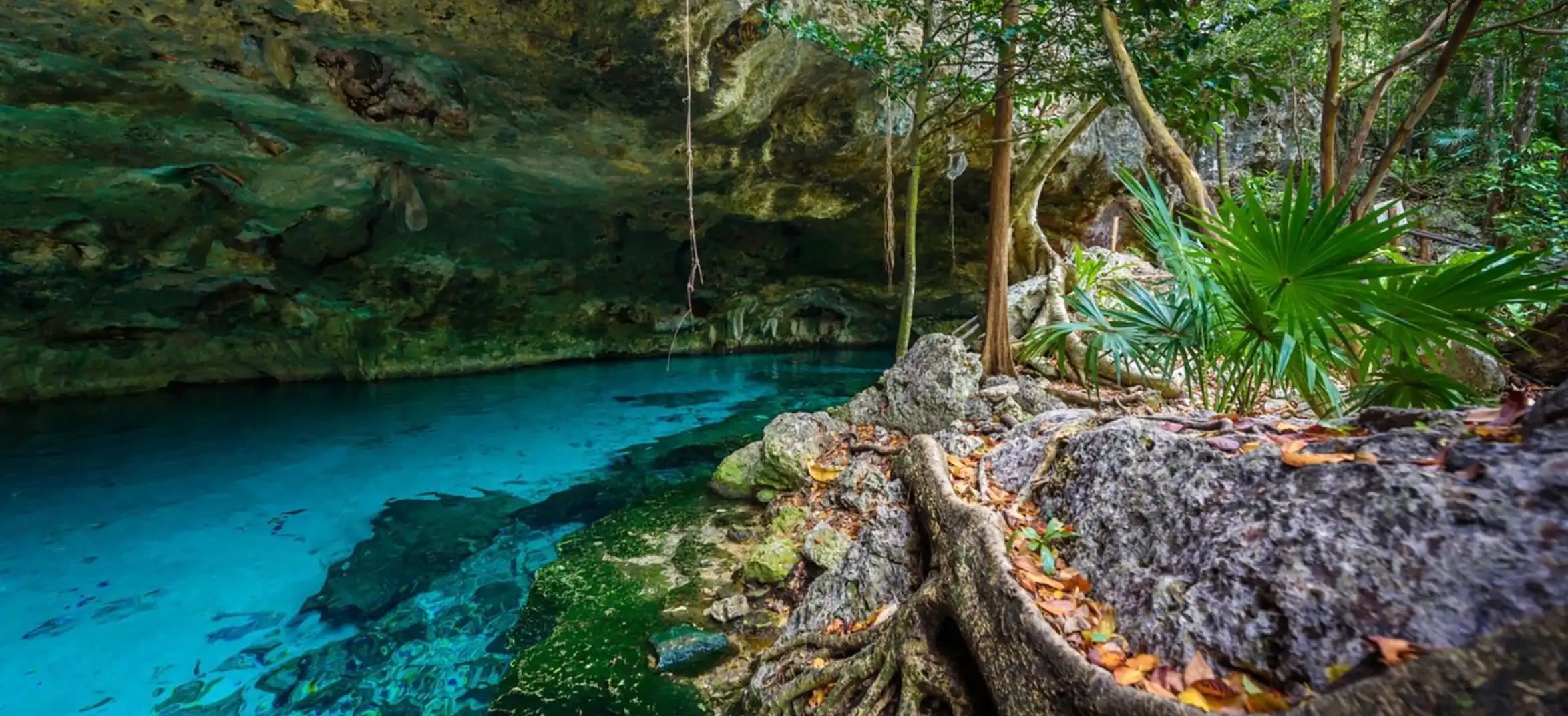 cenote-dos-ojos-tulum