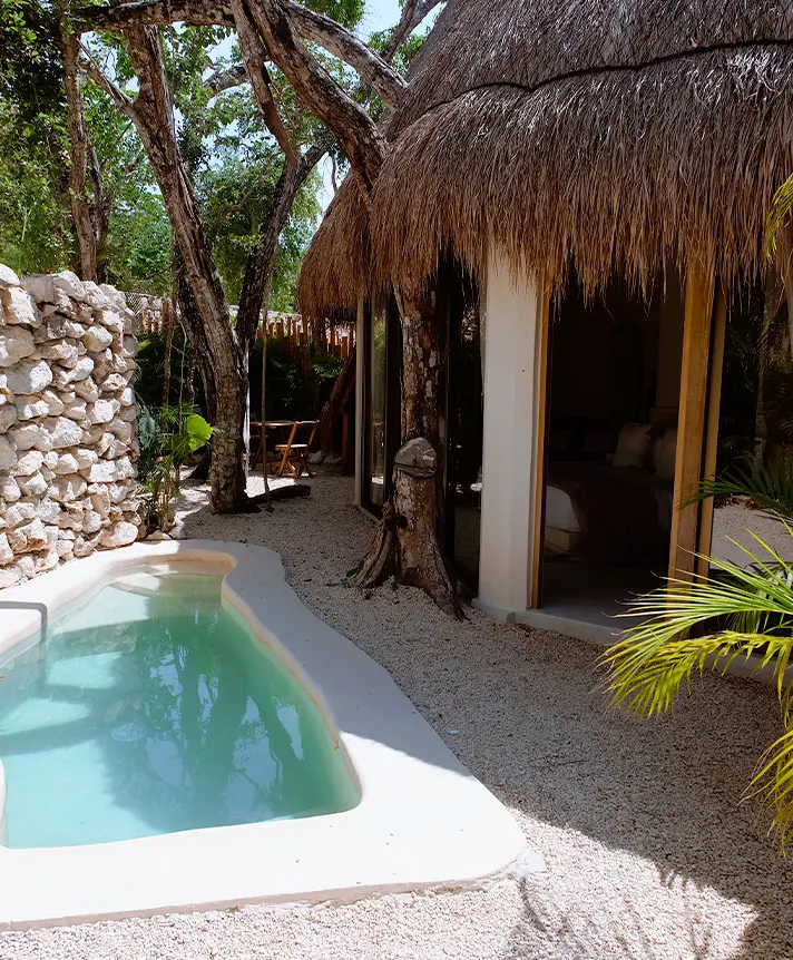 Muare Alberca en Hotel