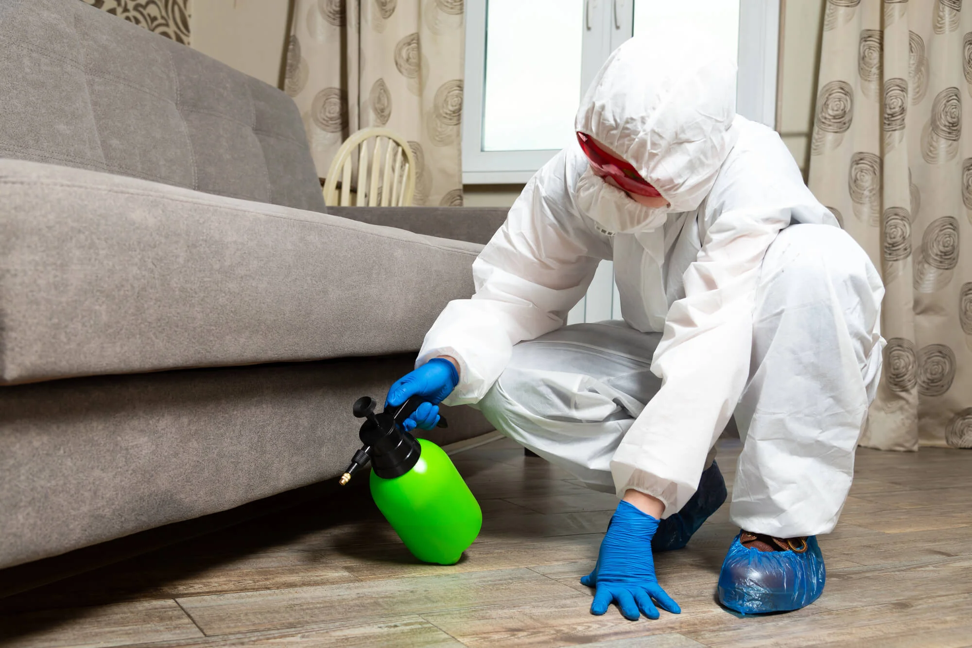efficient Bed Bug Control in Boca Raton